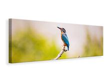 Laden Sie das Bild in den Galerie-Viewer, Leinwandbild Panorama Der Eisvogel