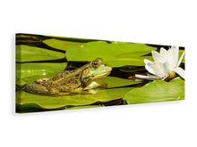 Laden Sie das Bild in den Galerie-Viewer, Leinwandbild Panorama Der Frosch und die Seerose