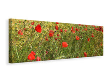 Laden Sie das Bild in den Galerie-Viewer, Leinwandbild Panorama Der Mohn im Wind