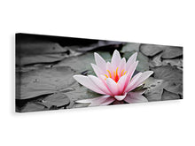 Laden Sie das Bild in den Galerie-Viewer, Leinwandbild Panorama Die Kunst der Seerose