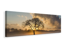 Laden Sie das Bild in den Galerie-Viewer, Leinwandbild Panorama Ein einsamer Baum