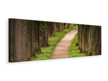 Laden Sie das Bild in den Galerie-Viewer, Leinwandbild Panorama Ein Weg im Wald