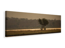 Laden Sie das Bild in den Galerie-Viewer, Leinwandbild Panorama Elefant alleine in der Steppe