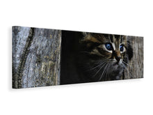 Laden Sie das Bild in den Galerie-Viewer, Leinwandbild Panorama Katzen Kind