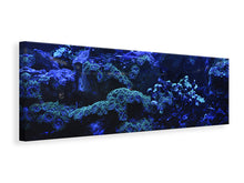 Laden Sie das Bild in den Galerie-Viewer, Leinwandbild Panorama Korallenriff in blau