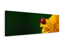 Laden Sie das Bild in den Galerie-Viewer, Leinwandbild Panorama Marienkäfer auf der Sonnenblume
