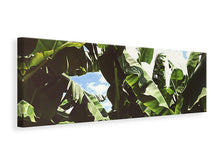 Laden Sie das Bild in den Galerie-Viewer, Leinwandbild Panorama Mitten im Dschungel