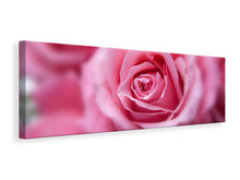 Laden Sie das Bild in den Galerie-Viewer, Leinwandbild Panorama Rosen Makro
