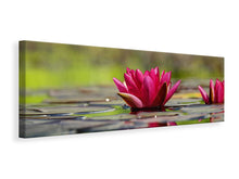 Laden Sie das Bild in den Galerie-Viewer, Leinwandbild Panorama Rotes Seerosen Duo