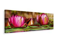 Laden Sie das Bild in den Galerie-Viewer, Leinwandbild Panorama Rotes Seerosen Trio