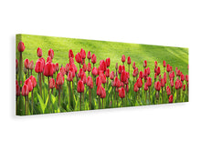 Laden Sie das Bild in den Galerie-Viewer, Leinwandbild Panorama Rotes Tulpenfeld im Sonnenlicht