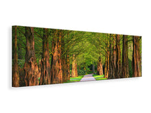 Laden Sie das Bild in den Galerie-Viewer, Leinwandbild Panorama Schöne Allee in der Natur