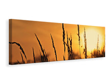 Laden Sie das Bild in den Galerie-Viewer, Leinwandbild Panorama Sonnenaufgang auf dem Feld