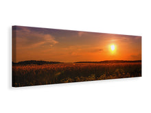 Laden Sie das Bild in den Galerie-Viewer, Leinwandbild Panorama Sonnenuntergang am Blumenfeld