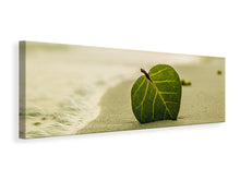Laden Sie das Bild in den Galerie-Viewer, Leinwandbild Panorama Strand-Blatt