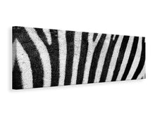 Laden Sie das Bild in den Galerie-Viewer, Leinwandbild Panorama Streifen vom Zebra