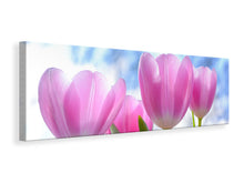 Laden Sie das Bild in den Galerie-Viewer, Leinwandbild Panorama Tulpen in der Natur