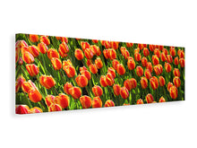 Laden Sie das Bild in den Galerie-Viewer, Leinwandbild Panorama Tulpenfeld in orange