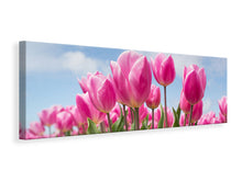 Laden Sie das Bild in den Galerie-Viewer, Leinwandbild Panorama Tulpenfeld in rosa