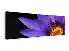 Laden Sie das Bild in den Galerie-Viewer, Leinwandbild Panorama XL Seerose in lila