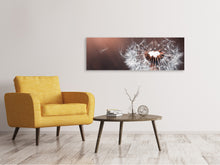 Laden Sie das Bild in den Galerie-Viewer, Leinwandbild Panorama Pusteblume im Abendlicht
