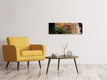 Laden Sie das Bild in den Galerie-Viewer, Leinwandbild Panorama Pusteblume im Morgentau