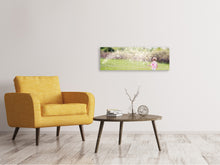 Laden Sie das Bild in den Galerie-Viewer, Leinwandbild Panorama Kleine Fee