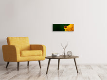 Laden Sie das Bild in den Galerie-Viewer, Leinwandbild Panorama Marienkäfer auf der Sonnenblume