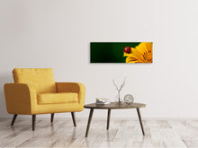 Laden Sie das Bild in den Galerie-Viewer, Leinwandbild Panorama Marienkäfer auf der Sonnenblume