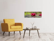 Laden Sie das Bild in den Galerie-Viewer, Leinwandbild Panorama Rotes Seerosen Duo
