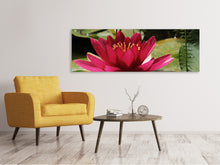 Laden Sie das Bild in den Galerie-Viewer, Leinwandbild Panorama Seerose in rot