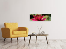 Laden Sie das Bild in den Galerie-Viewer, Leinwandbild Panorama Seerose in rot