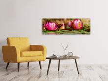 Laden Sie das Bild in den Galerie-Viewer, Leinwandbild Panorama Rotes Seerosen Trio