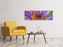 Laden Sie das Bild in den Galerie-Viewer, Leinwandbild Panorama XXL Seerose in lila