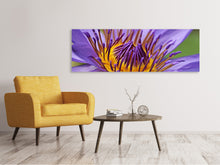 Laden Sie das Bild in den Galerie-Viewer, Leinwandbild Panorama XXL Seerose in lila