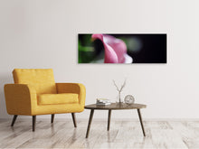 Laden Sie das Bild in den Galerie-Viewer, Leinwandbild Panorama Calla in lila