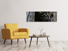 Laden Sie das Bild in den Galerie-Viewer, Leinwandbild Panorama Katzen Kind