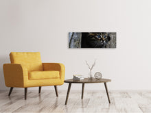 Laden Sie das Bild in den Galerie-Viewer, Leinwandbild Panorama Katzen Kind