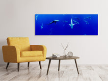 Laden Sie das Bild in den Galerie-Viewer, Leinwandbild Panorama Im Haifischbecken