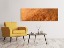 Laden Sie das Bild in den Galerie-Viewer, Leinwandbild Panorama Baumringe