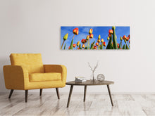 Laden Sie das Bild in den Galerie-Viewer, Leinwandbild Panorama Tulpen ragen zum Himmel