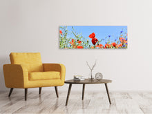 Laden Sie das Bild in den Galerie-Viewer, Leinwandbild Panorama Der Mohn in der Blumenwiese