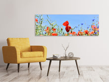 Laden Sie das Bild in den Galerie-Viewer, Leinwandbild Panorama Der Mohn in der Blumenwiese