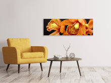Laden Sie das Bild in den Galerie-Viewer, Leinwandbild Panorama Orchideen mit orangen Blüten