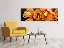 Laden Sie das Bild in den Galerie-Viewer, Leinwandbild Panorama Orchideen mit orangen Blüten