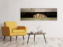 Laden Sie das Bild in den Galerie-Viewer, Leinwandbild Panorama Katze im Versteck