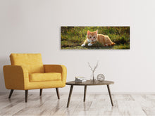 Laden Sie das Bild in den Galerie-Viewer, Leinwandbild Panorama Kitten in der Natur
