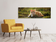 Laden Sie das Bild in den Galerie-Viewer, Leinwandbild Panorama Kitten in der Natur