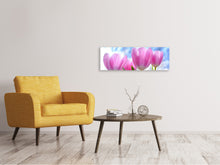 Laden Sie das Bild in den Galerie-Viewer, Leinwandbild Panorama Tulpen in der Natur