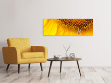 Laden Sie das Bild in den Galerie-Viewer, Leinwandbild Panorama Close up Gelbe Knospe